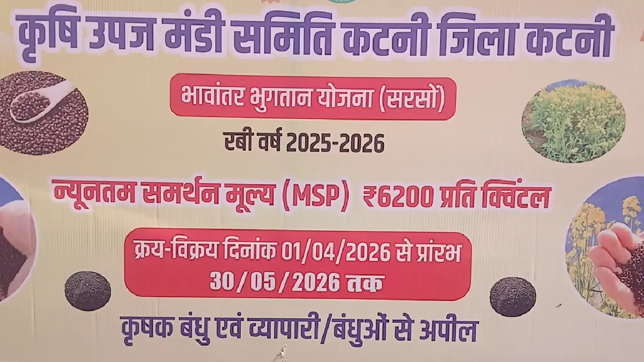MP: कटनी में सरसों खरीदी अब 16 April  से शुरू