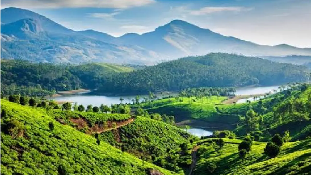Ministry of Science and Technology । Western Ghat: पश्चिमी घाट से एलोग्राफा जीनस से संबंधित लाइकेन बनाने वाली कवक की पाँच नई प्रजातियों की खोज