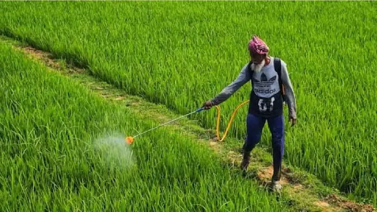 PM । Ministry of Agriculture and Farmer’s Welfare । MSP: कैबिनेट ने 2026-27 मार्केटिंग सीजन के लिए 14 खरीफ फसलों के लिए ज़्यादा MSP को दी मंजूरी
