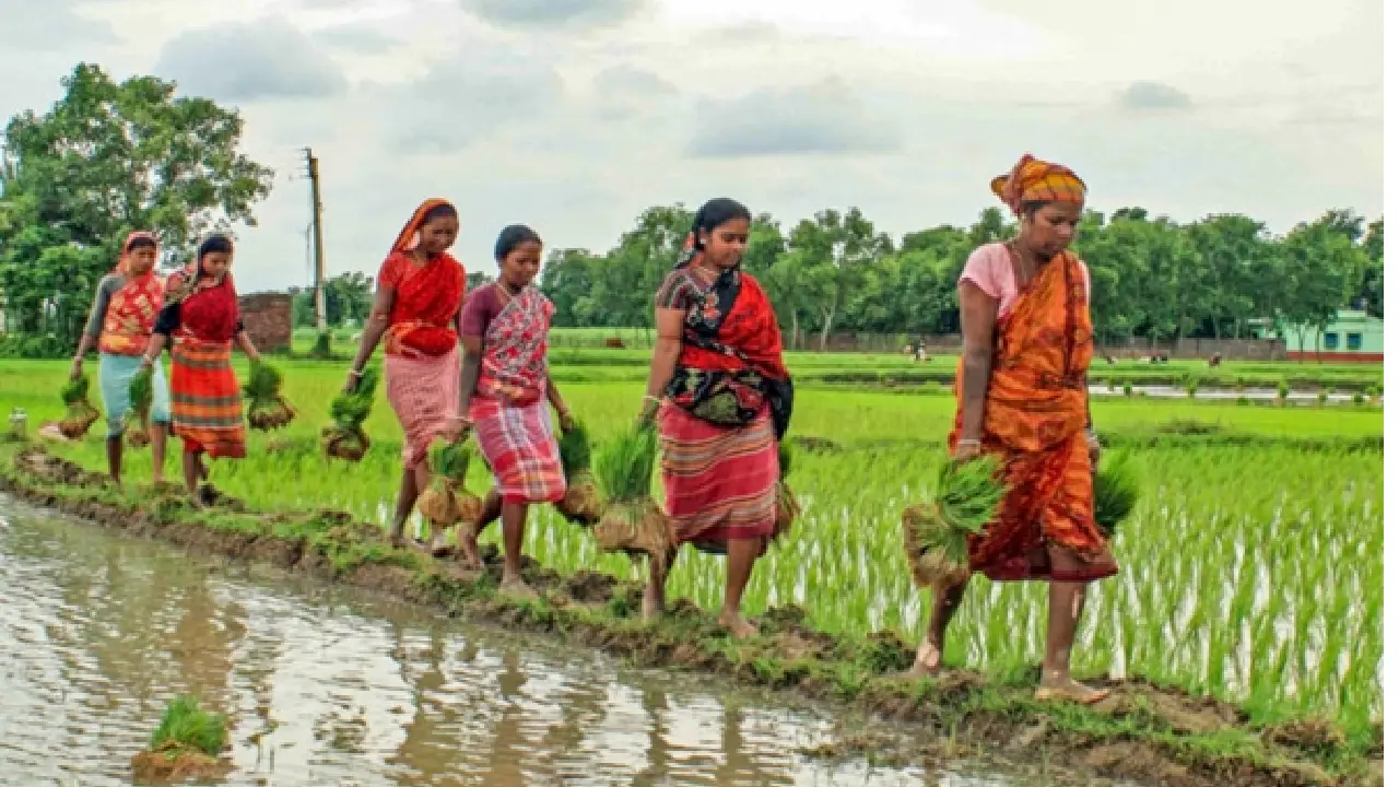 Ministry of Agriculture and Farmers Welfare: खरीफ फसलों के तहत बोए गए क्षेत्र की प्रगति 967 लाख हैक्टर को पार कर गई