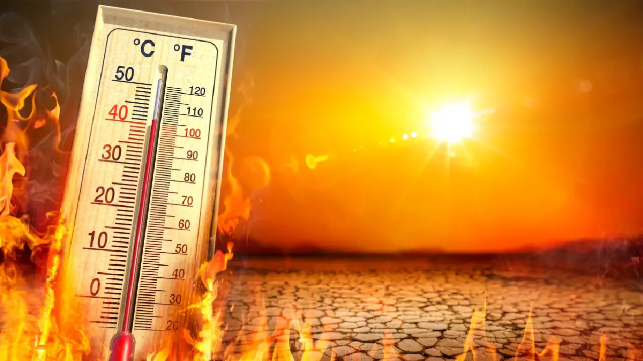 India । Heat Wave । Temperature: भारत में तापमान बढ़ने पर IMD ने हीटवेव एडवाइजरी की जारी