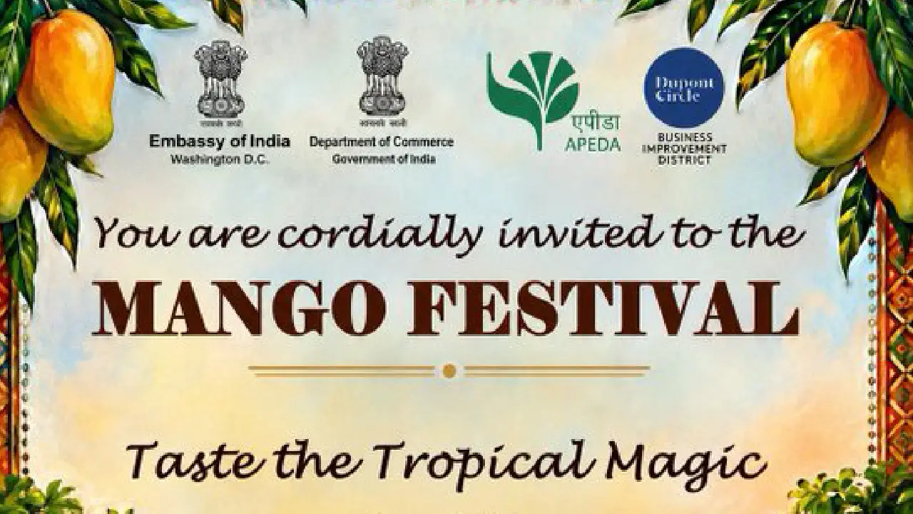 India Embassy । Washington DC । Test of The Tropical Magic: भारतीय दूतावास के मैंगो फेस्ट में 8,000 से अधिक लोगों ने चखे भारतीय आम