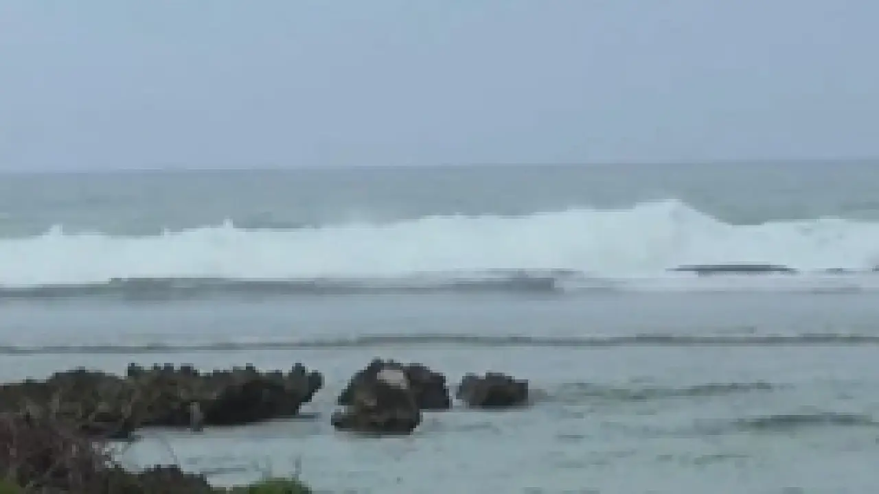 Typhoon Bavi । Japan । Taiwan: टाइफून बावी के कारण जापान और ताइवान में फ्लाइट कैंसिल स्कूल बंद