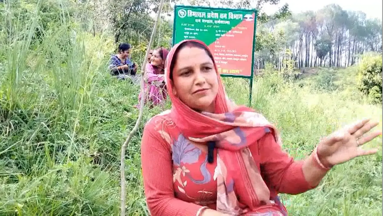Rajeev Gandhi Van Samvardhan Yojana । Himachal Pradesh Government: राजीव गांधी वन संवर्धन योजना 2030 तक 30 फीसदी वन आवरण का लक्ष्य तक पहुंचने हेतु महिलाएं और युवाओं की वृहद भागीदारी पर जोर