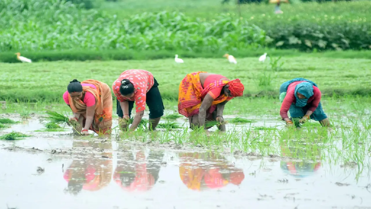 PM । Ministry of Agriculture । Kharif  । Total Area Sown । CCEA । MSP: भारत में चालू खरीफ सीजन में कुल बुवाई का रकबा 1,016.57 लाख हैक्टर से ज़्यादा