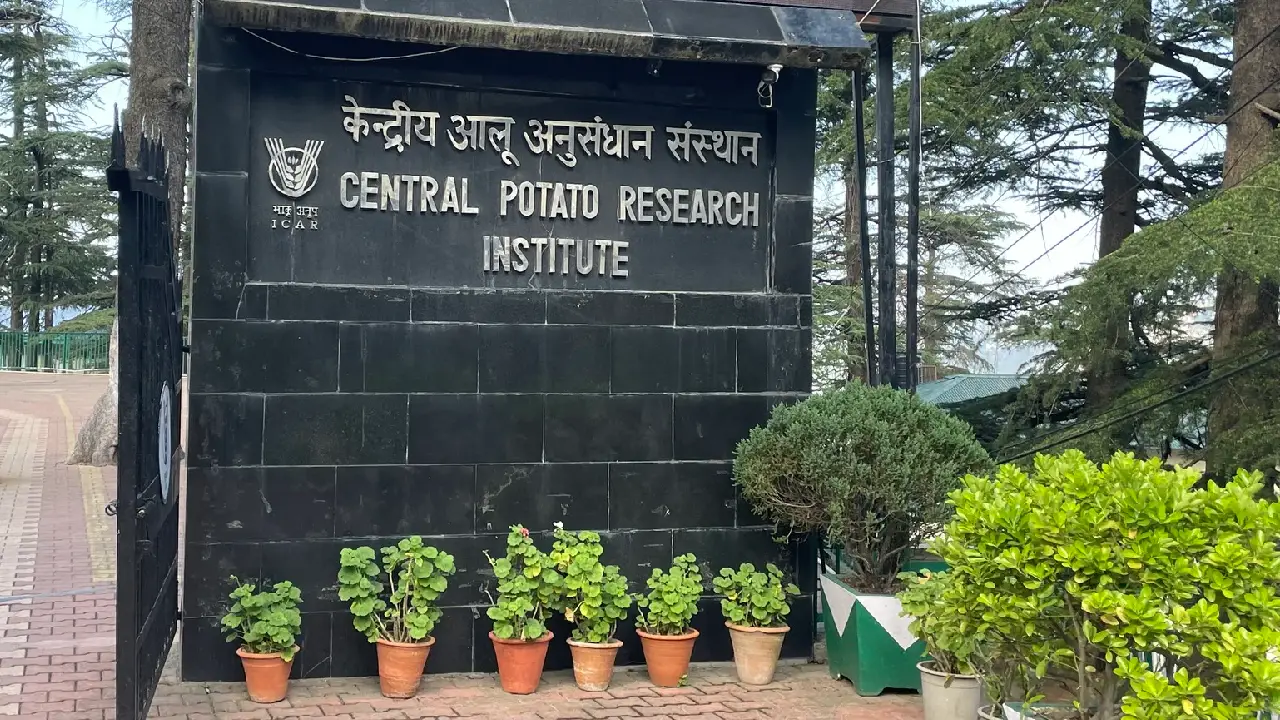 ICAR-CPRI । Breeder Seed । FPO: केन्द्रीय आलू अनुसंधान संस्थान, शिमला में मानकीकृत बीज आलू उत्पादन पर राष्ट्रीय दक्षता विकास कार्यक्रम का शुभारंभ