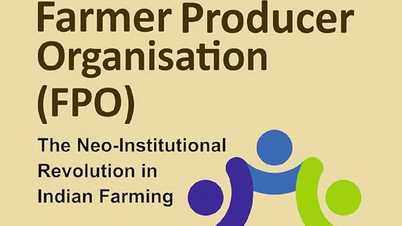 Farmer Producer Organization (FPO): कृषक उत्पादक संगठन: अर्थ, संगठनात्मक संरचना और ग्रामीण अर्थव्यवस्था में योगदान