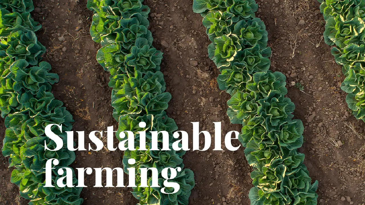 ICAR । DARE । FPO । SHG । FIG । Sustainable Farming: टिकाऊ खेती को बढ़ावा देने हेतु ‘खेत बचाओ अभियान’ की पूरे भारत में 2.71 करोड़ लोगों तक पहुंच