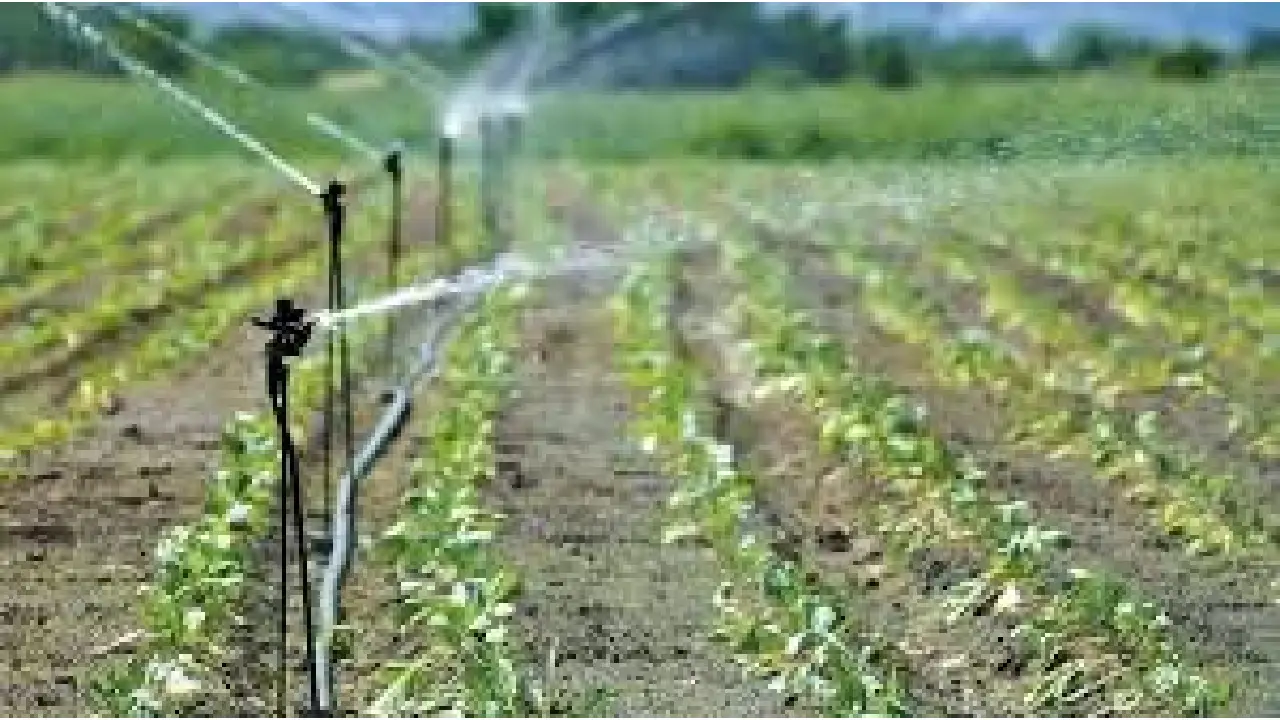 Union Government । Pradhan Mantri Krishi Sinchayee Yojana । More crop per drop Scheme: प्रति बूंद अधिक फसल योजना के अंतर्गत 115 लाख हैक्टर कृषि भूमि लघु सिंचाई प्रणाली में शामिल