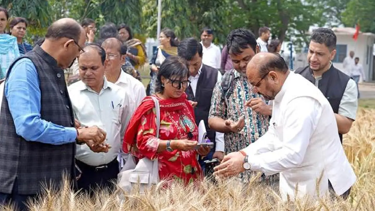 ICAR । Protected Agriculture ।  Climate Resiliant: आईसीएआर खाद्य एवं पोषण सुरक्षा मजबूत करने तथा संरक्षित कृषि और जलवायु-अनुकूल गेहूं अनुसंधान को दे रहा बढ़ावा