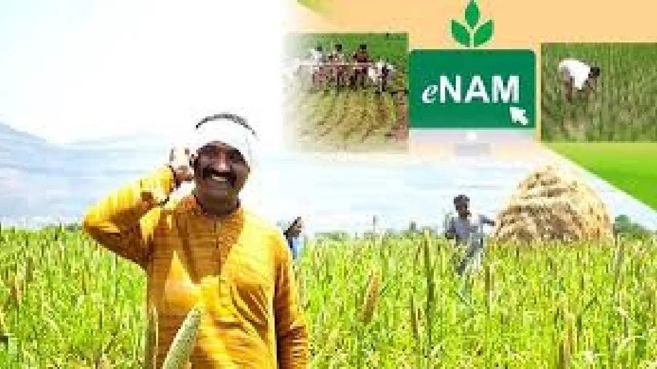 e-NAM App । e-Nam Portal । Digital Agriculture : e-NAM ने 1,656 मंडियों को जोड़ा, 4.84 लाख करोड़ रुपये के व्यापार को बनाया आसान