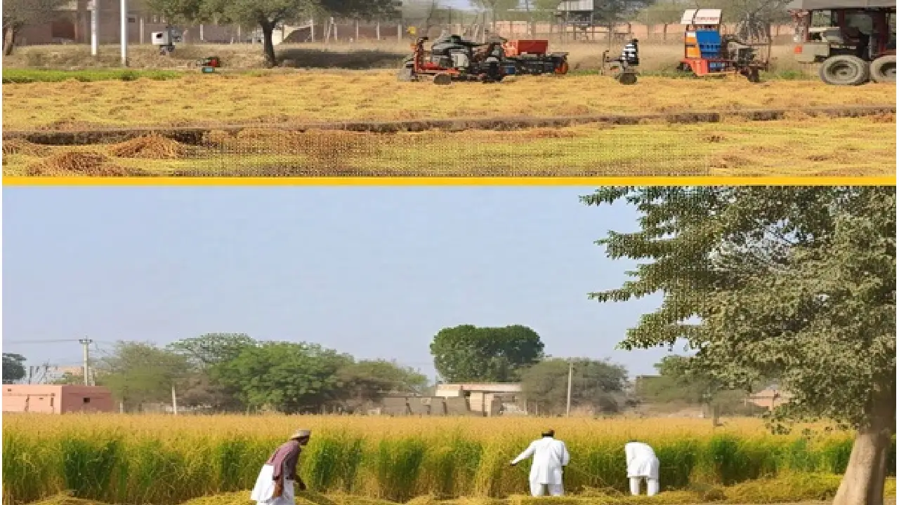 Central Government । Border fencing । Punjab । CM: केन्द्र ने पंजाब में बॉर्डर फेंसिंग को जीरो लाइन के पास ले जाने की प्रक्रिया की शुरू