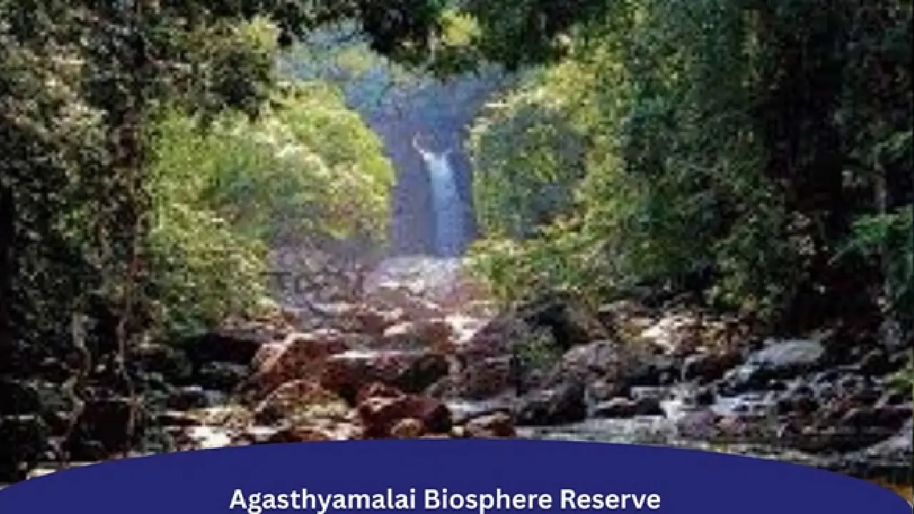SC । Ecological Restoration । Tamil Nadu । Kerala: सुप्रीम कोर्ट ने अगस्त्यमलाई के इकोलॉजिकल लैंडस्केप से अतिक्रमण हटाने का दिया आदेश