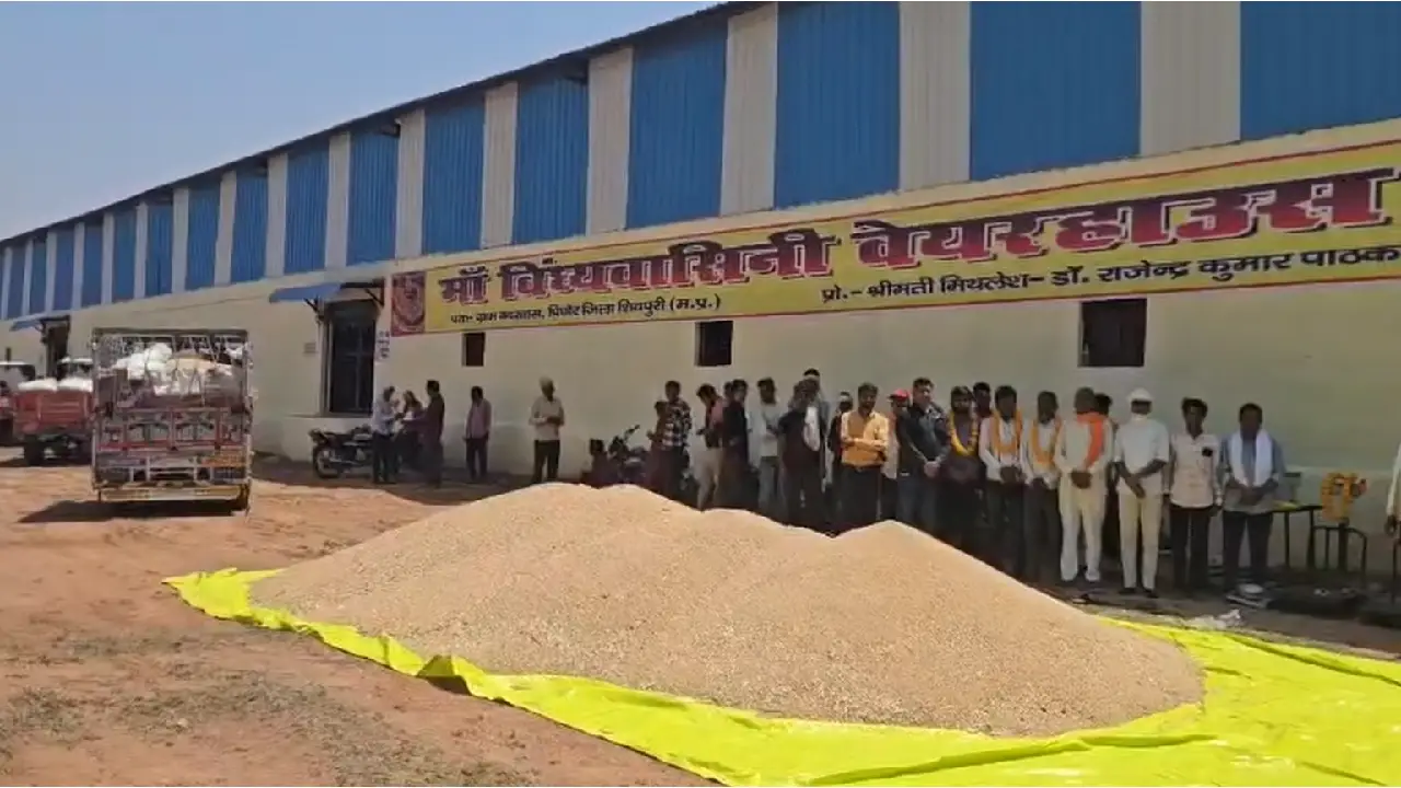  MP: शिवपुरी में गेहूं खरीदी प्रारंभ, 45 केन्द्र बनाया गया