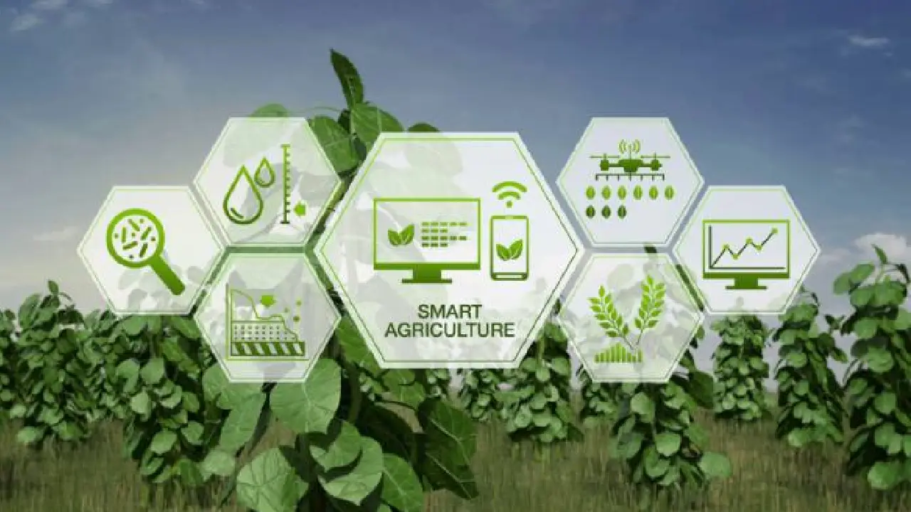 Bihar । Farmer । Climate Resilient । Workshop: किसानों की भूमि उर्वरता पर पटना में दो दिवसीय कार्यशाला आयोजित