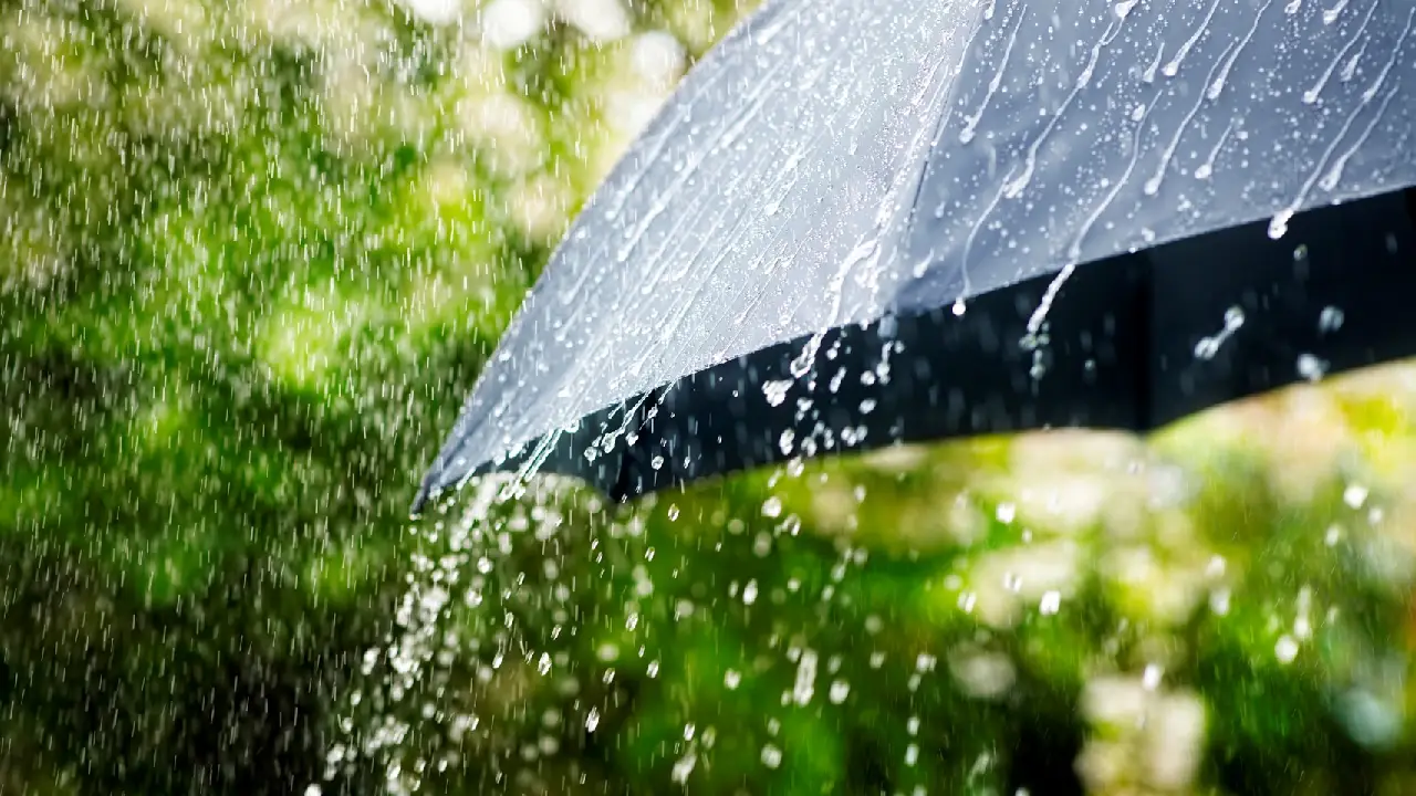 IMD । Delhi-NCR । El Nino । WMO: भारतीय मौसम विज्ञान विभाग ने दिल्ली-एनसीआर में एक हफ़्ते तक बारिश और आंधी-तूफान का लगाया अनुमान