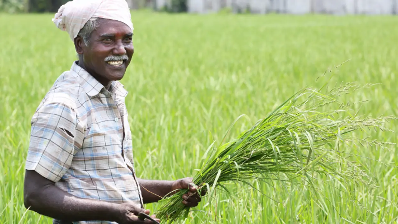 Bihar Krishi Mobile App । PM-Kisan । AI । Precision Farming: बिहार कृषि ऐप किसानों के लिए डिजिटल वन-स्टॉप समाधान, मौसम से लेकर सरकारी योजनाओं तक की जानकारी