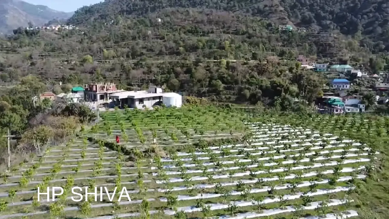 ADB । HP SIVA । MonoRail: एशियाई विकास बैंक की टीम ने एचपी शिवा परियोजना का किया मध्यावधि निरीक्षण, पलौहटा में मोनोरेल पायलट प्रोजेक्ट शुरू होने के कयास