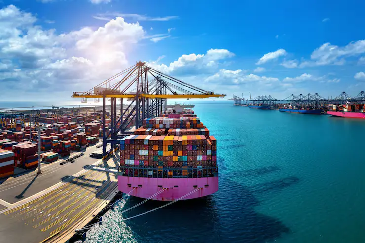 India । Sea Food Export । भारत का समुद्री खाद्य निर्यात 72,300 करोड़ रुपये के पार